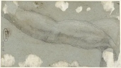 Studie van een arm