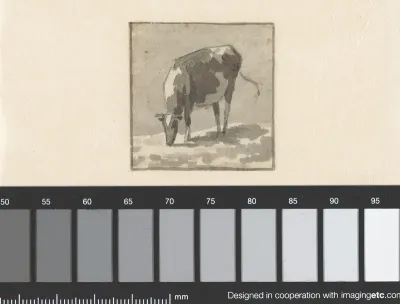 Studie van een grazende koe