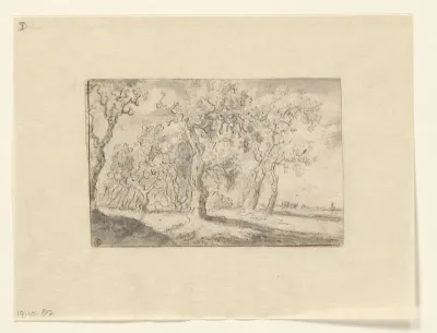 Studie van een groep bomen