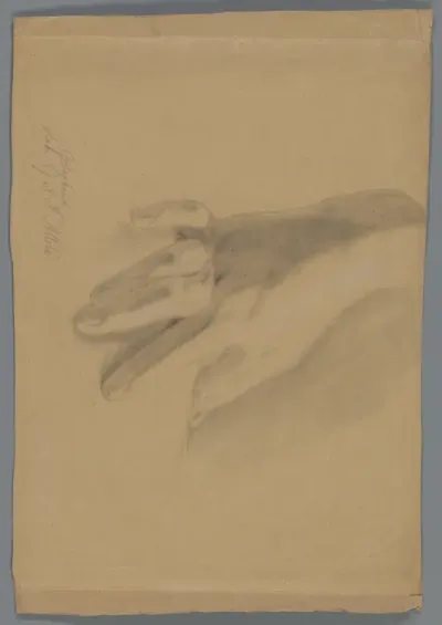 Studie van een hand
