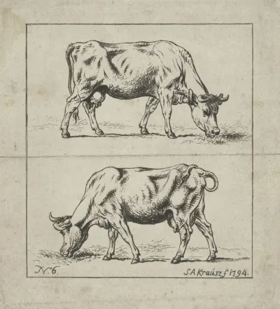 Studie van een koe