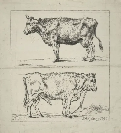 Studie van een koe en een stier