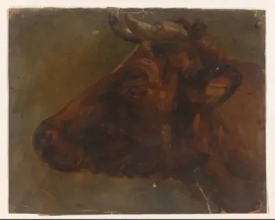 Studie van een koeienkop