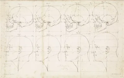 Studie van een menselijke kop en schedel