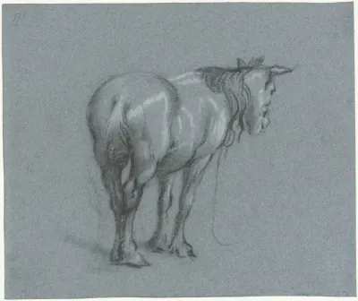 Studie van een paard van achteren, naar rechts