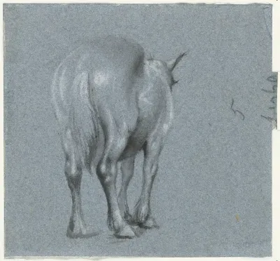 Studie van een paard, van achteren