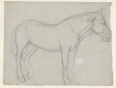 Studie van een paard