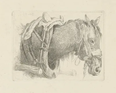 Studie van een paardenkop