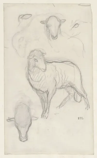 Studie van een schaap en drie schaapskoppen