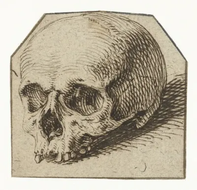 Studie van een schedel