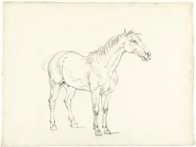 Studie van een staand paard, naar rechts