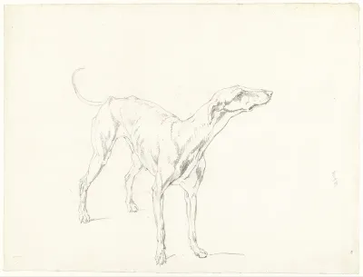 Studie van een staande hond, naar rechts