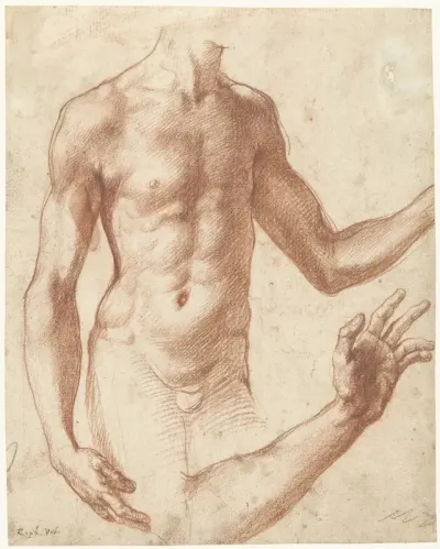 Studie van een torso