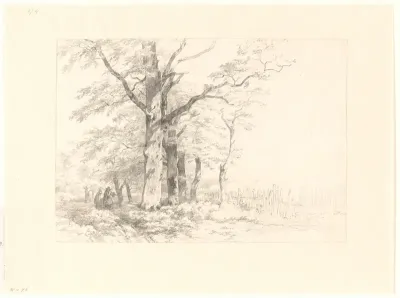 Studie van eiken in een landschap