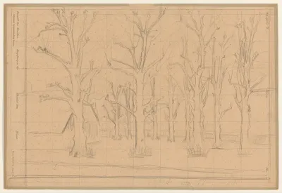 Studie van kale bomen (de Jansweg te Laren)