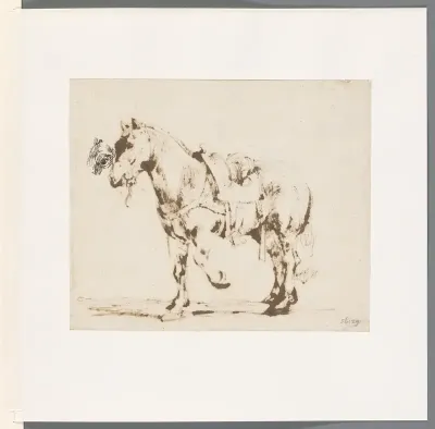 Studie van paardenoog