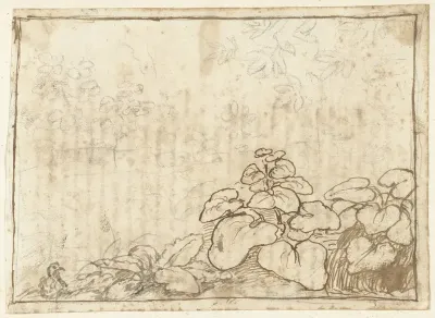 Studie van planten