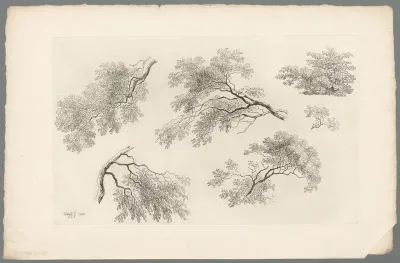 Studie van takken