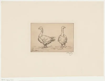 Studie van twee ganzen