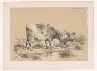 Studie van twee koeien