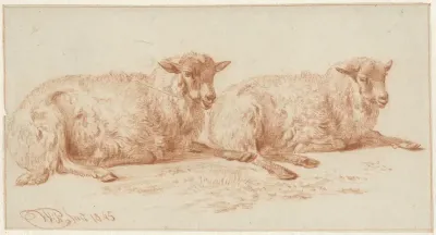 Studie van twee liggende schapen