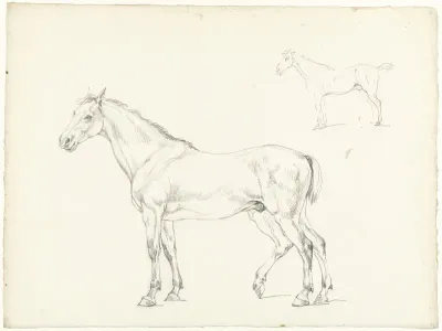 Studie van twee paarden, naar links