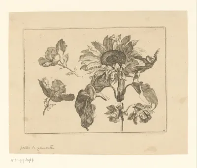 Studie van zonnebloem, narcis en lelies