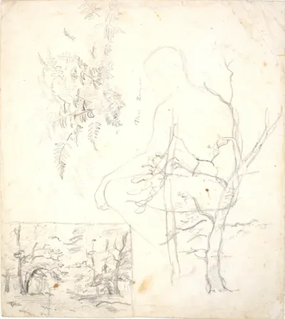 Studieblad med skovbillede, træer, planter og figur