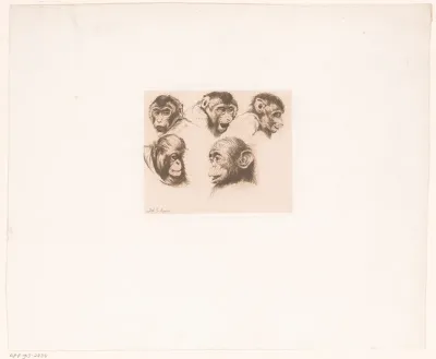 Studieblad met apenkoppen