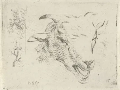 Studieblad met bokkekop