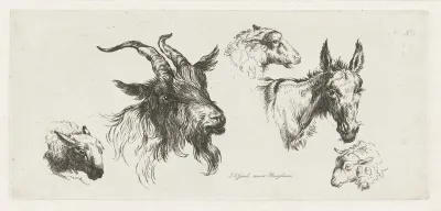 Studieblad met dierenkoppen