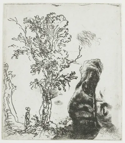 Studieblad met een boom, en het bovenste deel van Rembrandts hoofd met baret