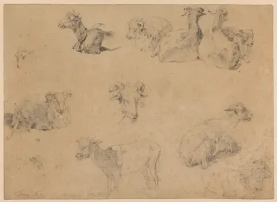 Studieblad met geiten en schapen