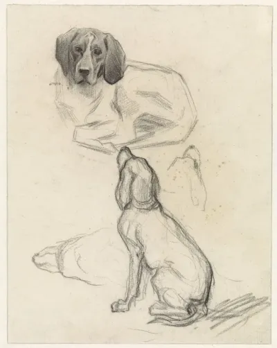 Studieblad met honden