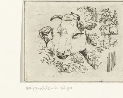 Studieblad met koeiekop