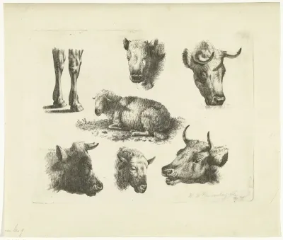 Studieblad met koppen en poten van koeien en schapen