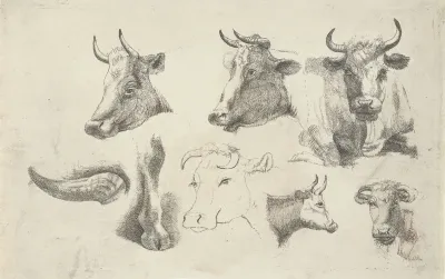 Studieblad met koppen van koeien