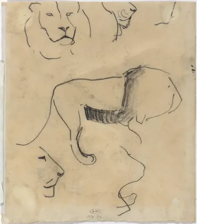 Studieblad met leeuwen