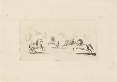 Studieblad met paarden in verschillende houdingen