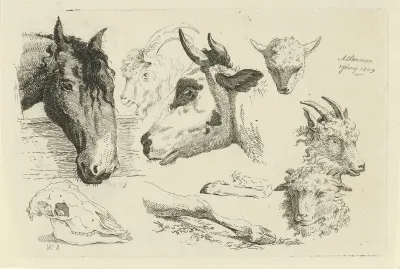 Studieblad met paardenhoofd en beestenkoppen