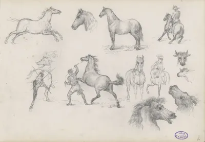 Studieblad met ruiters, paarden en runderen