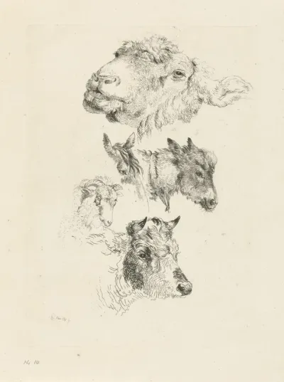 Studieblad met schaap-, paard- , ezel- , ram- en stierenkop