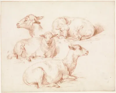 Studieblad met schapen