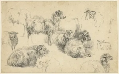 Studieblad met schapen