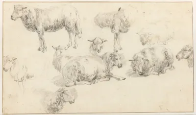 Studieblad met staande en liggende schapen