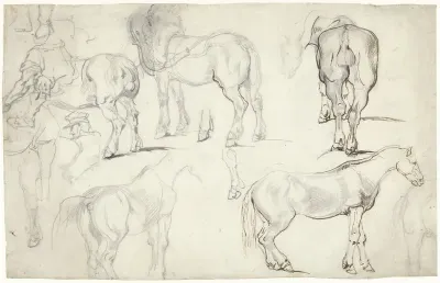 Studieblad met studies van paarden
