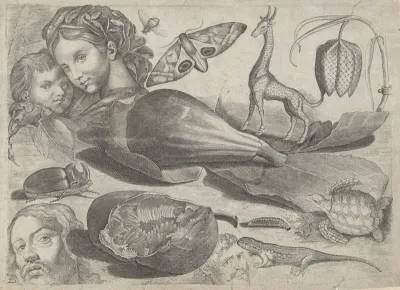 Studieblad met tekenvoorbeelden: koppen, dieren en vruchten