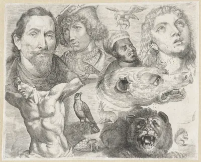Studieblad met tekenvoorbeelden: koppen, torso en dieren