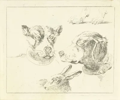Studieblad met twee hondenkoppen, poten van hond en kop van haas