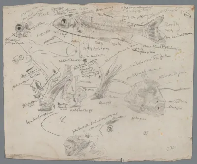Studieblad met vissen en aquariumplanten